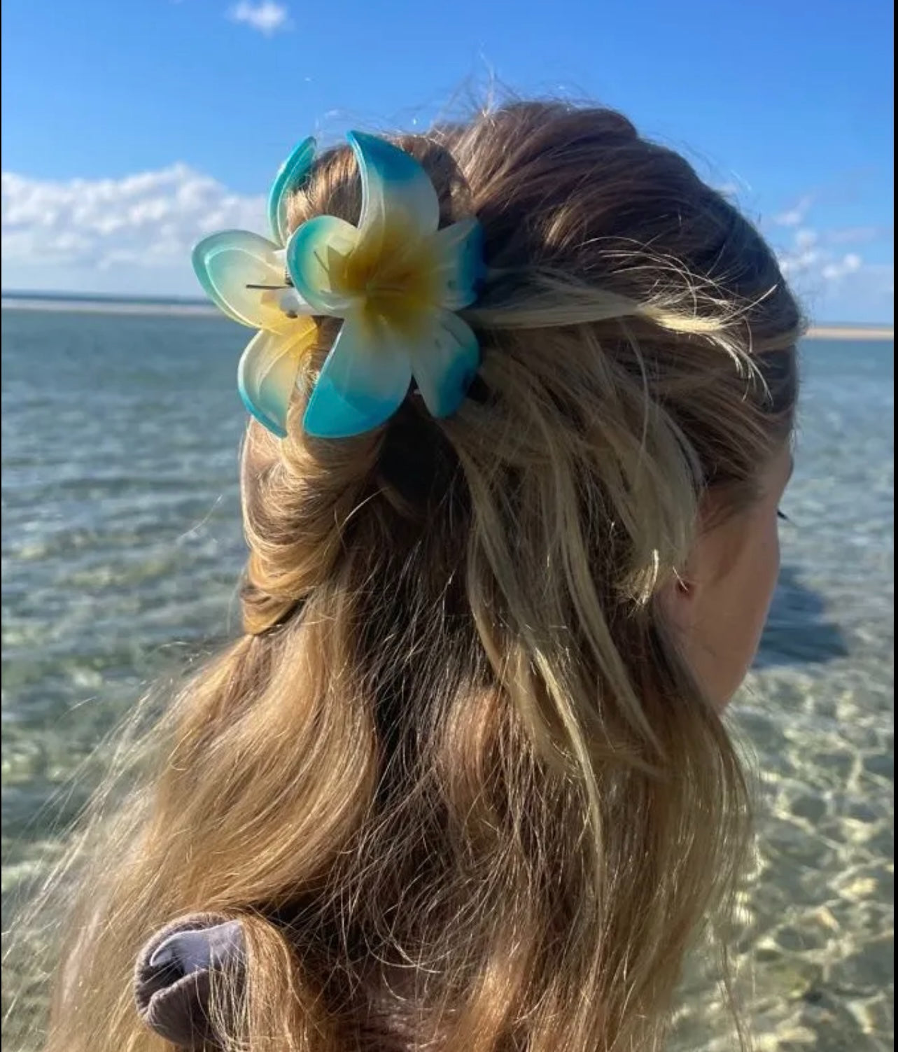 FLOWER CLAW CLIP