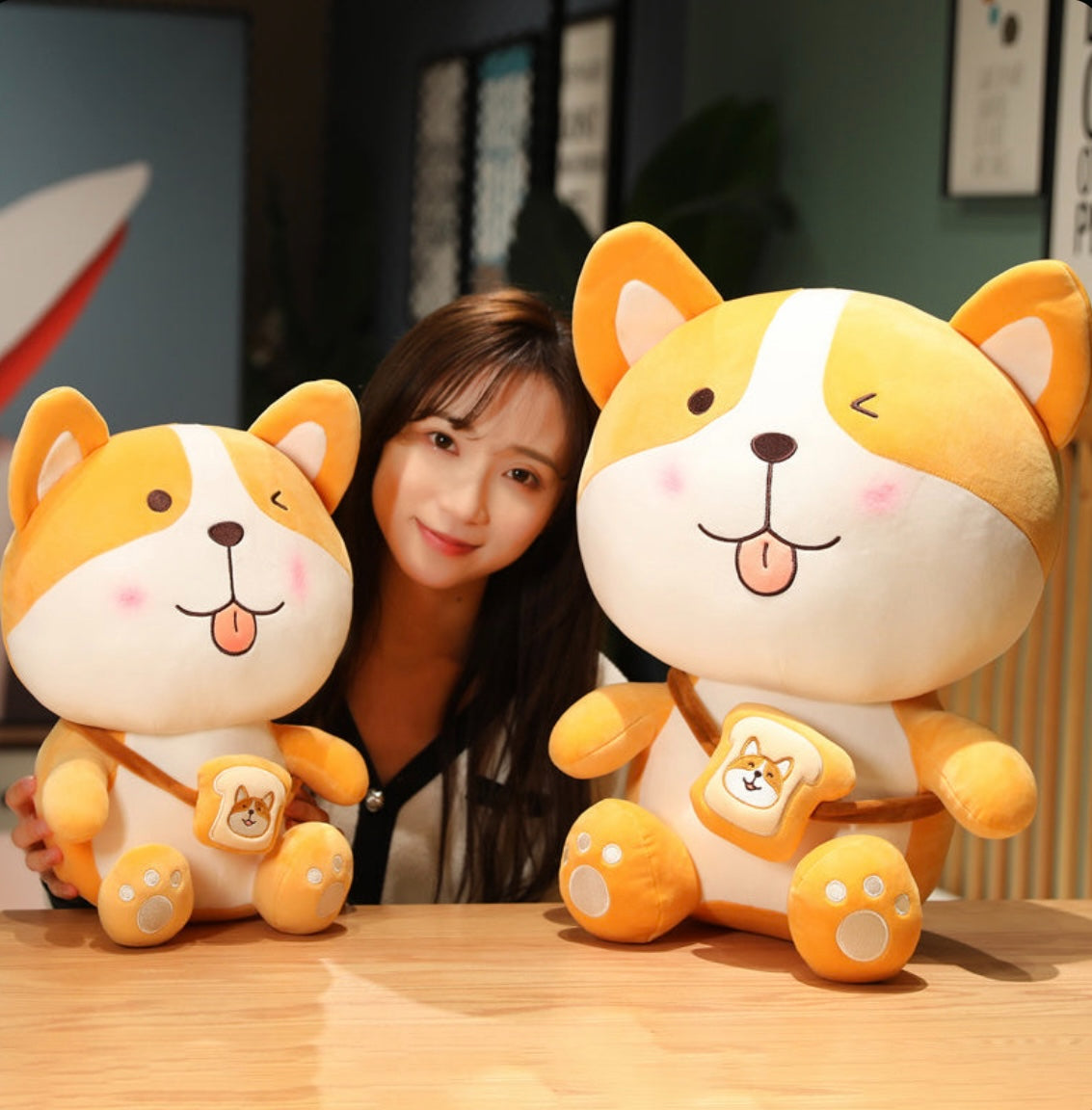 CUTE SHIBA INU PLUSHIE